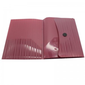 Sacca per documenti a pulsante di plastica di dimensioni pp per la scuola e l\'ufficio